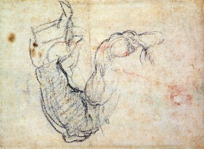 Preparatory Study for the Arm of Christ in the Last Judgement by Michelangelo Buonarroti